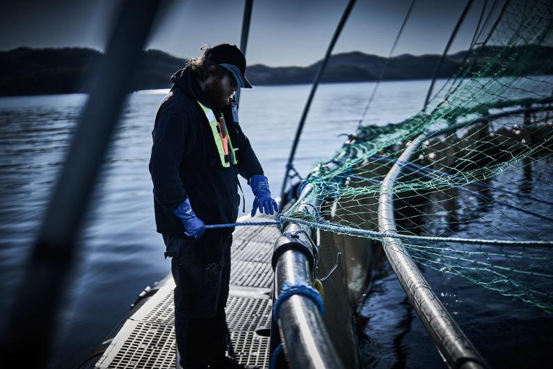 csv_image script 160327_h3_9_e_01.jpg