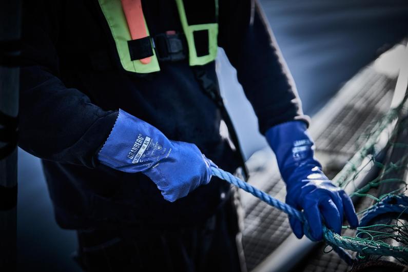 csv_image script 160327_h4_9_e_01.jpg