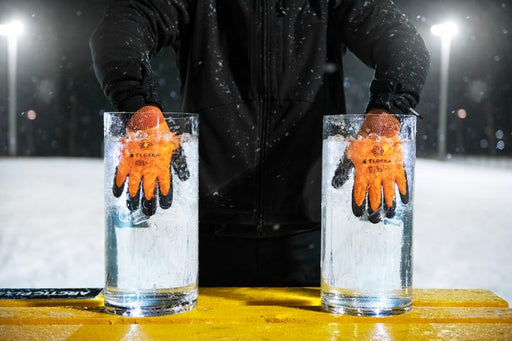 csv_image script 19225744_h2_9_e_01.jpg