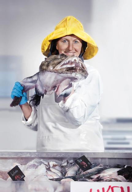 csv_image script 249285_h5_9_e_01.jpg