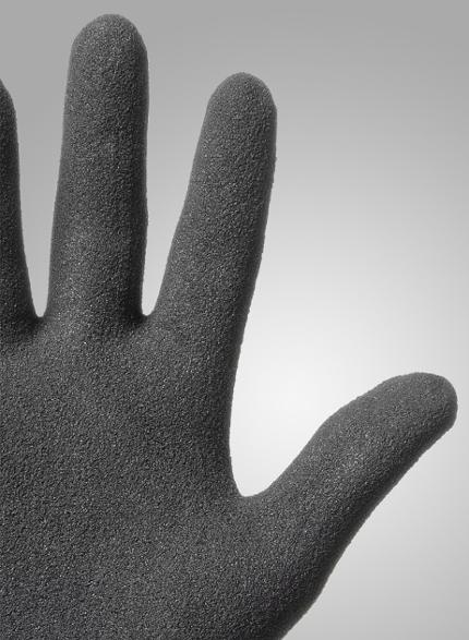 csv_image script 282290_h4_9_e_01.jpg