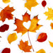 csv_image script 314372_h1_9_e_01.jpg