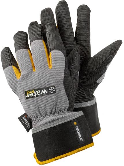 csv_image script 318071_h1_9_e_01.jpg