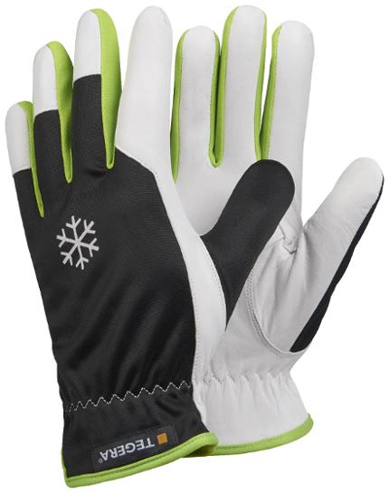 csv_image script 318085_h1_9_e_01.jpg