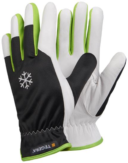 csv_image script 318088_h1_9_e_01.jpg