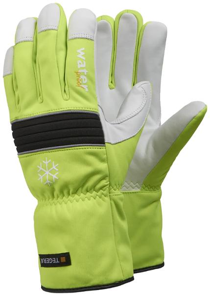 csv_image script 318090_h1_9_e_01.jpg