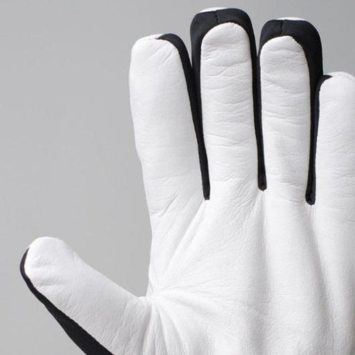 csv_image script 319853_h2_9_e_01.jpg