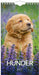 csv_image script 321181_h1_9_e_01.jpg