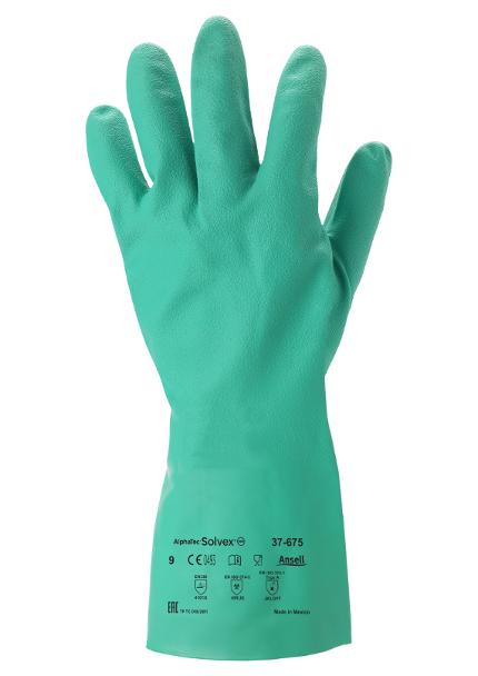 csv_image script 5953836_h1_9_e_01.jpg