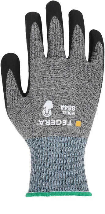 csv_image script 8313961_h4_9_e_01.jpg