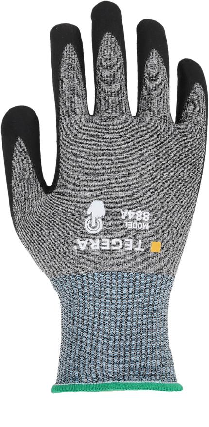 csv_image script 8313994_h2_9_e_01.jpg