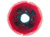 csv_image script asset.10004948.jpg