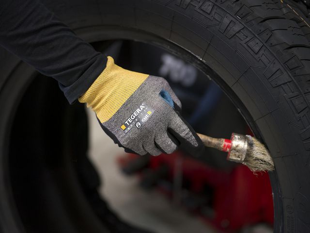 csv_image script asset.10164626.jpg