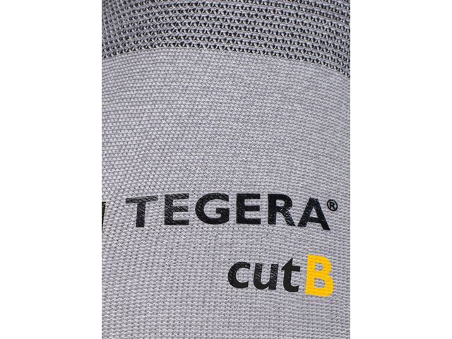 csv_image script asset.10164639.jpg