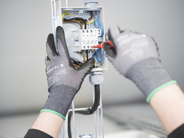 csv_image script asset.10164642.jpg