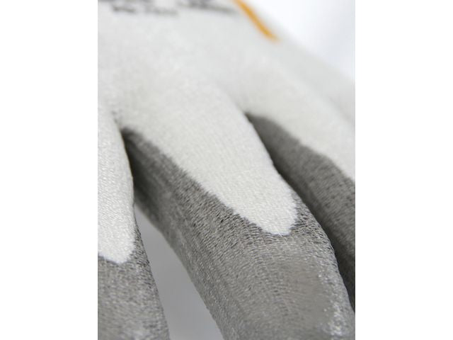 csv_image script asset.10164657.jpg