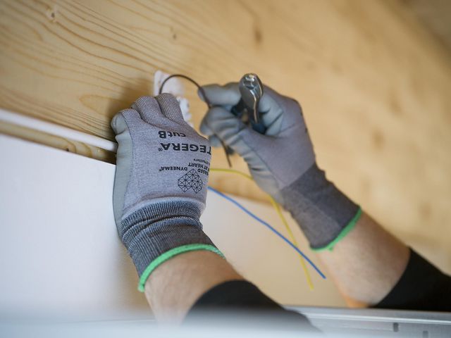 csv_image script asset.10164831.jpg