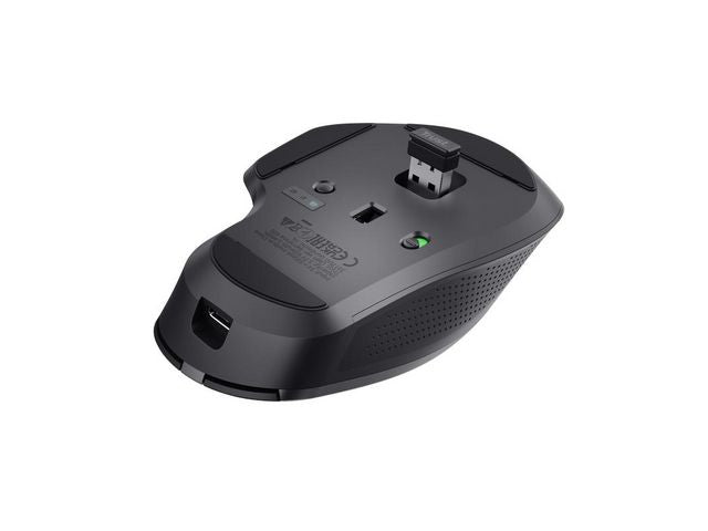 csv_image script asset.11000657.jpg