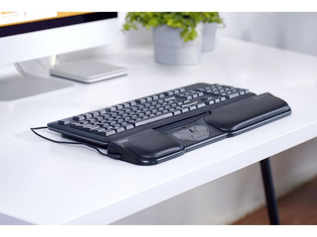 csv_image script asset.11001397.jpg