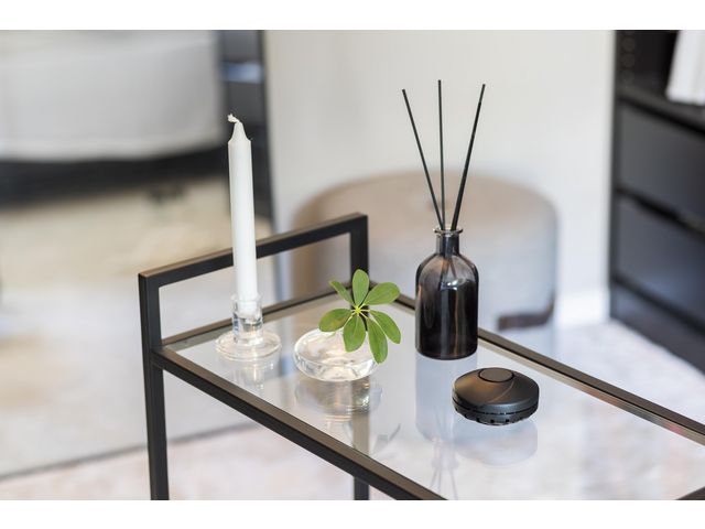 csv_image script asset.11002712.jpg