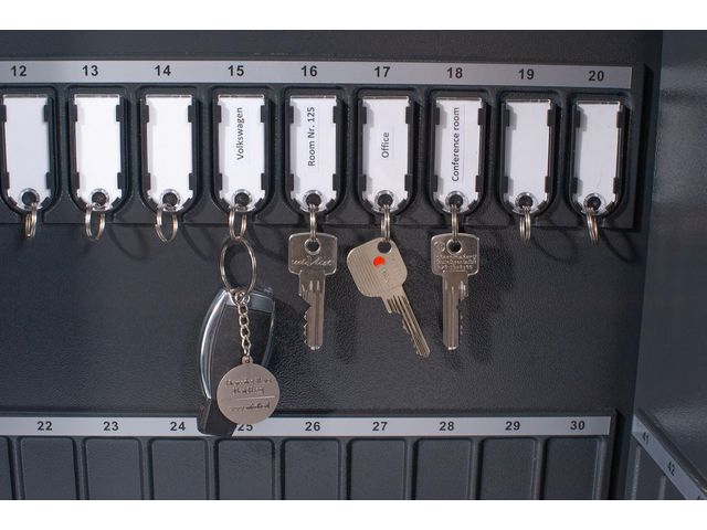 csv_image script asset.11015992.jpg