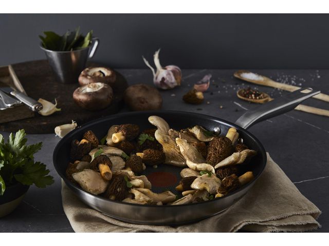 csv_image script asset.11016145.jpg