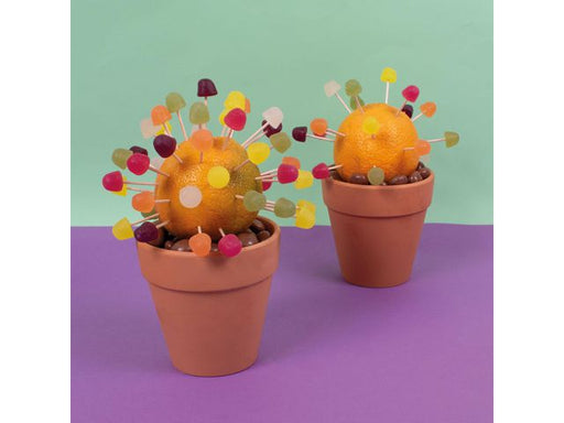 csv_image script asset.11023773.jpg