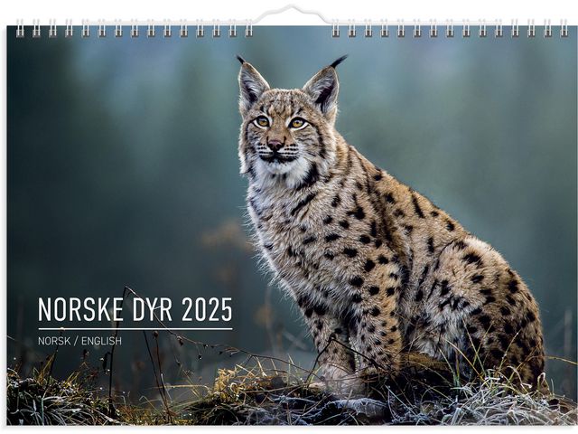 Veggkalender GRIEG 2025 Norske dyr