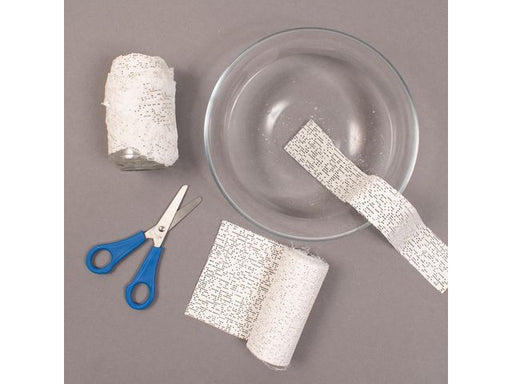 csv_image script asset.11024061.jpg