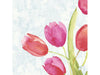 csv_image script asset.11024094.jpg