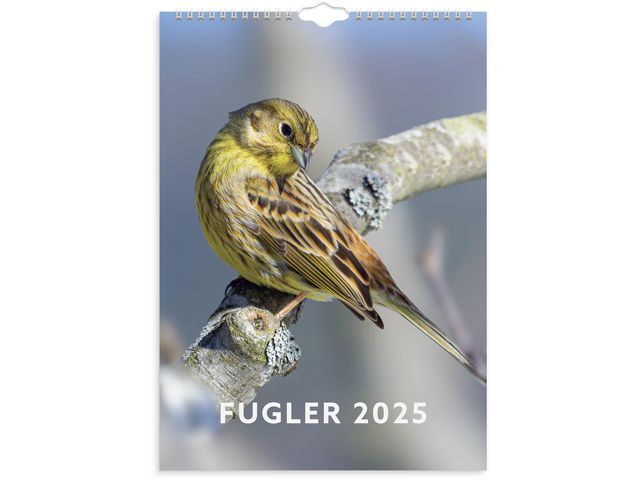 Veggkalender GRIEG 2025 Fugler