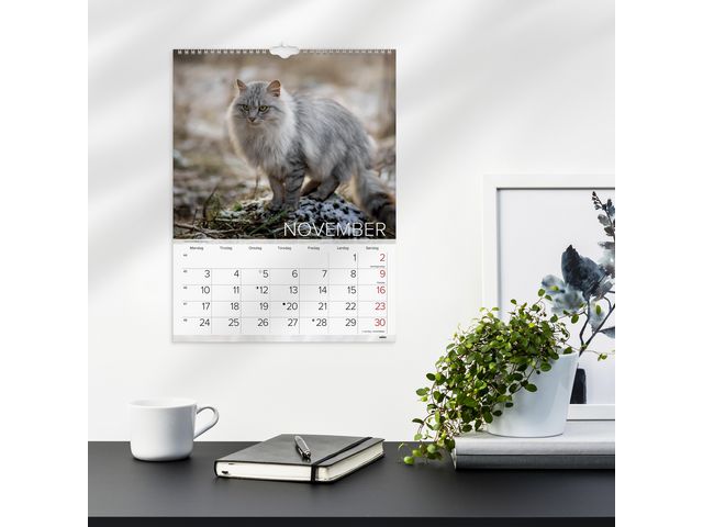 Veggkalender GRIEG 2025 Katter