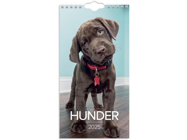 Veggkalender GRIEG 2025 Hunder Mini