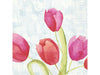 csv_image script asset.11024521.jpg