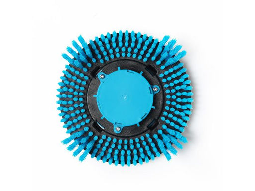 csv_image script asset.11028730.jpg