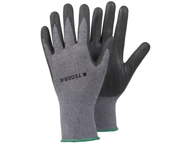 csv_image script asset.11036425.jpg