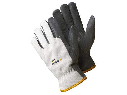 csv_image script asset.11038197.jpg