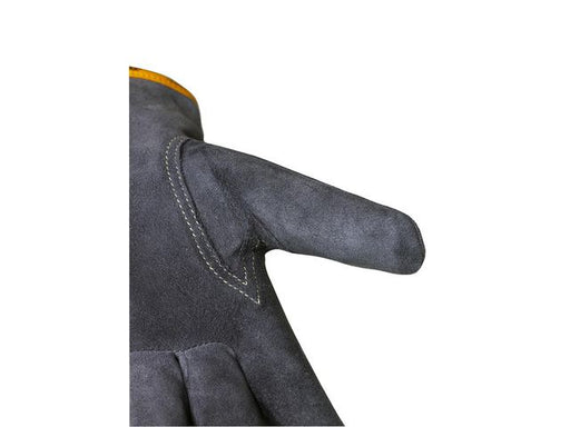 csv_image script asset.11038234.jpg