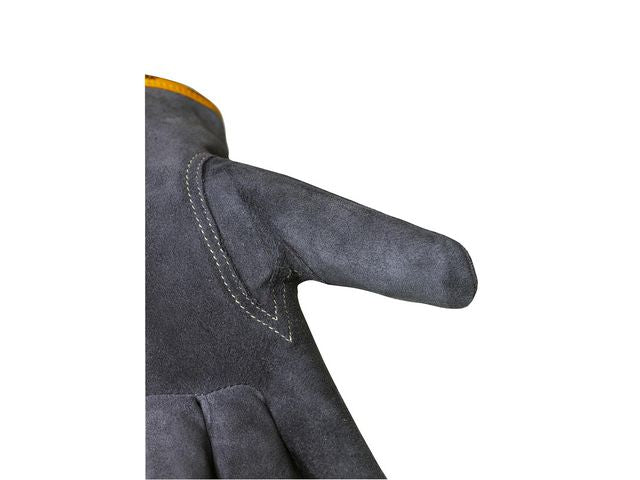 csv_image script asset.11038234.jpg