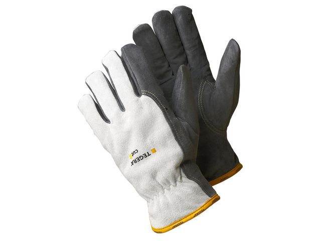 csv_image script asset.11038243.jpg