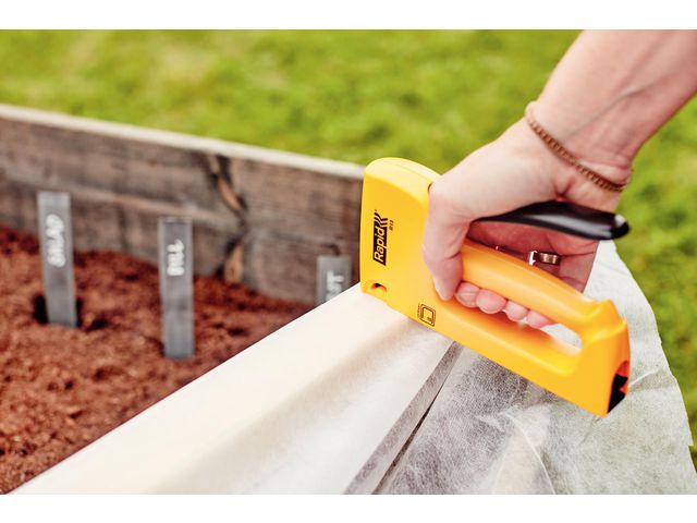 csv_image script asset.11038659.jpg