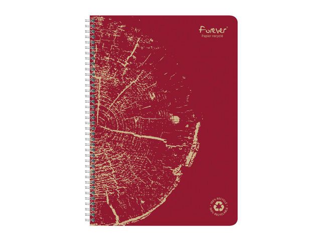 csv_image script asset.11057152.jpg