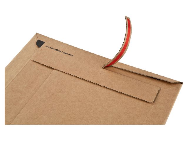 csv_image script asset.11062031.jpg