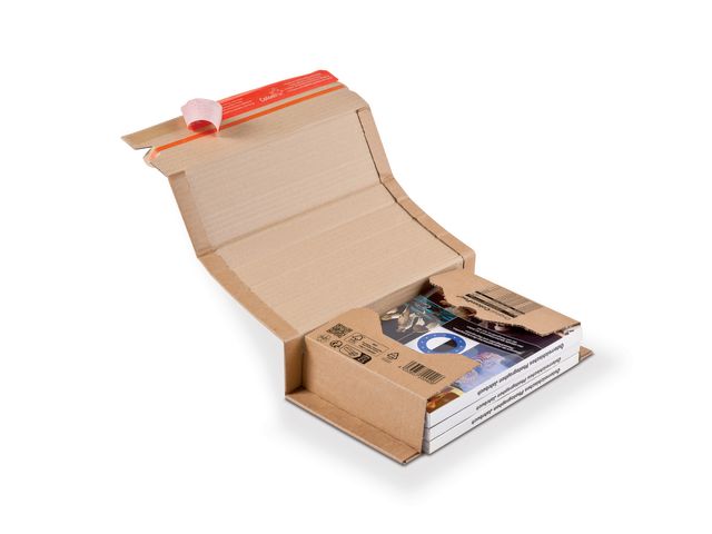 csv_image script asset.11062056.jpg