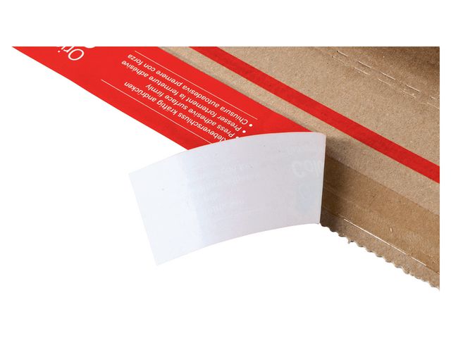 csv_image script asset.11062259.jpg