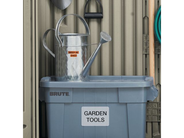 csv_image script asset.11062469.jpg