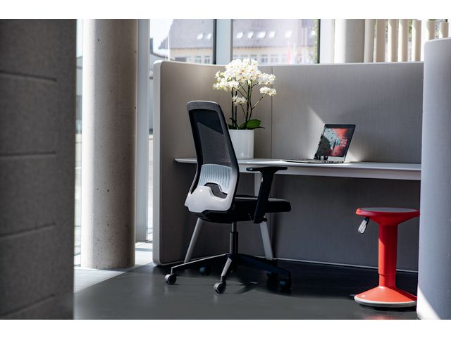 csv_image script asset.11062500.jpg