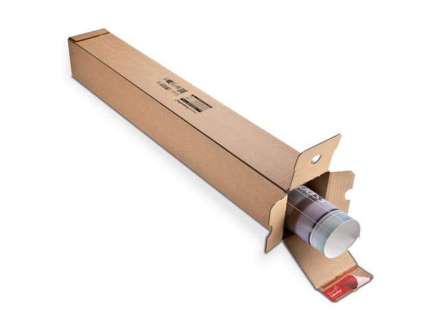 csv_image script asset.11062505.jpg