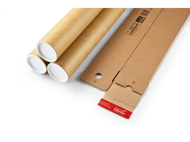 csv_image script asset.11062898.jpg