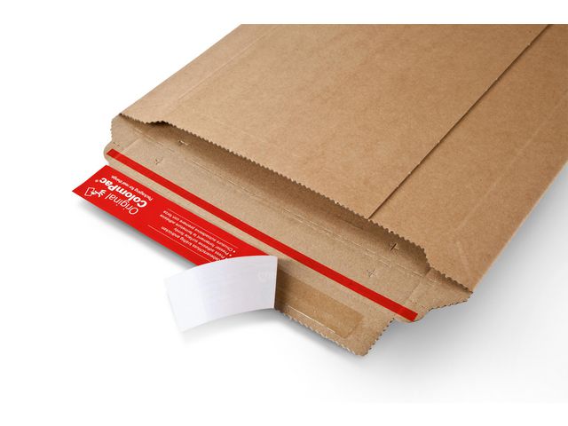 csv_image script asset.11062906.jpg